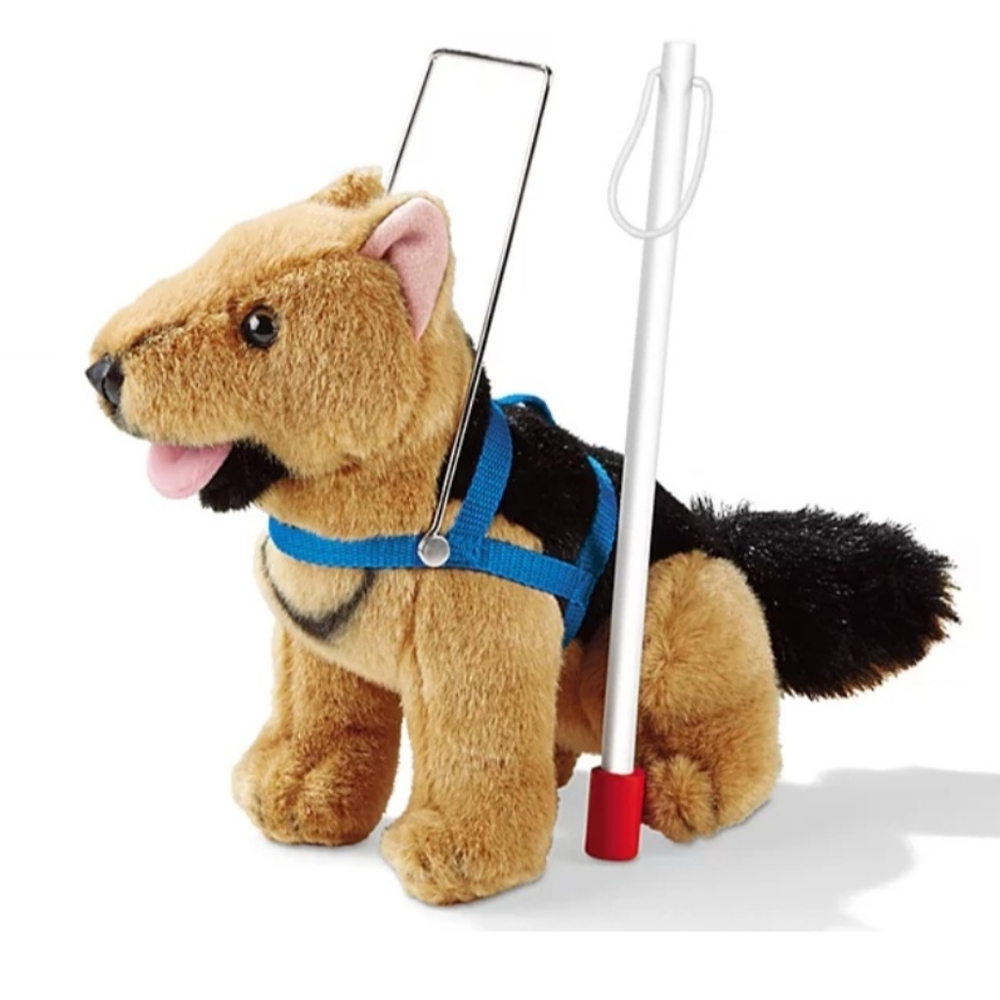 Guide Dog , Harness & Cane